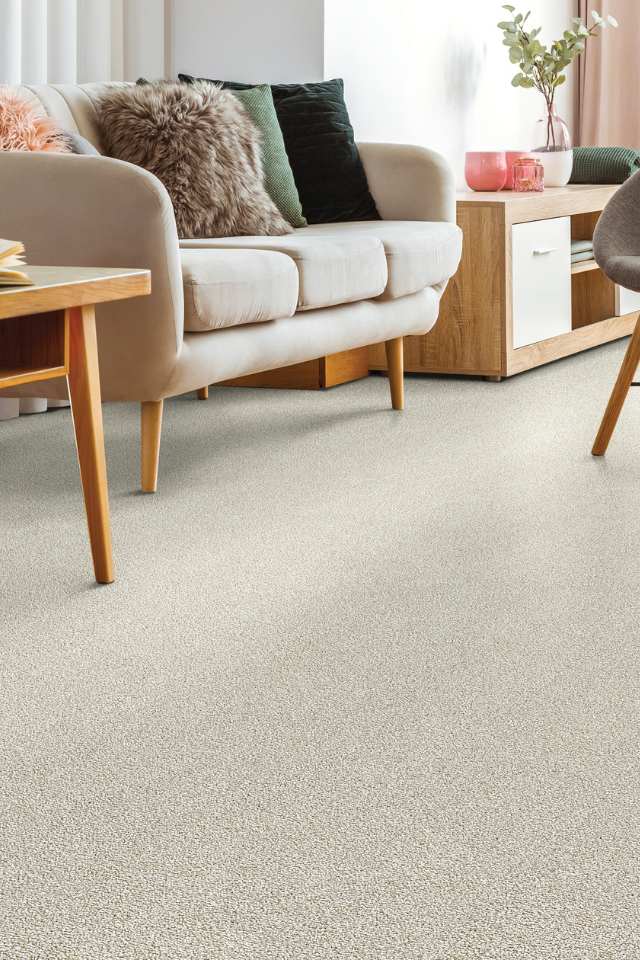 grey plush carpet in modern living room with peach decor and natural accents